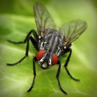 /album/workakasi/photolia-a01-jpg/