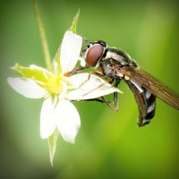/album/workakasi/photolia-a02-jpg/