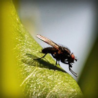/album/workakasi/photolia-a04-jpg/