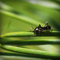 /album/workakasi/photolia-a05-jpg/