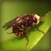 /album/workakasi/photolia-a06-jpg/