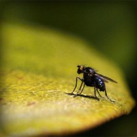 /album/workakasi/photolia-a07-jpg/