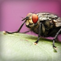 /album/workakasi/photolia-a08-jpg/